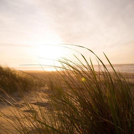 Grosse Nordseewelle Ohne Hund Norden Εξωτερικό φωτογραφία